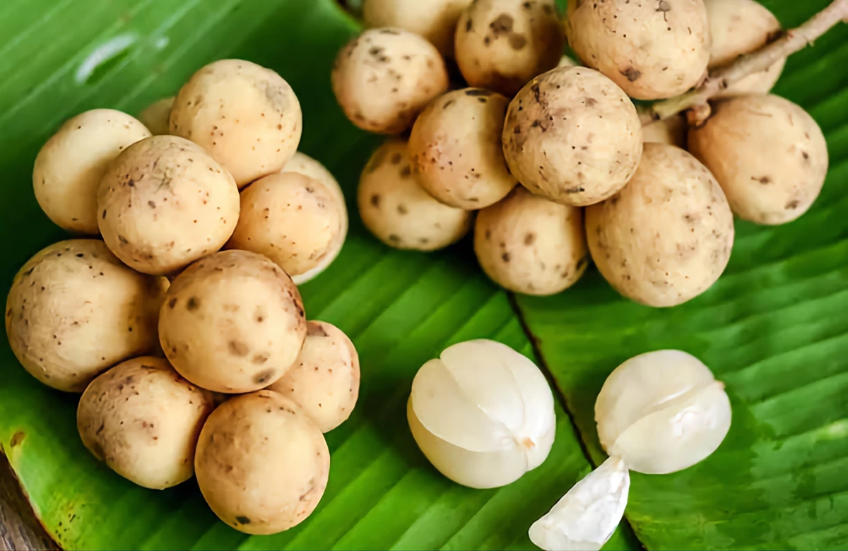 Si Mungil Berkulit Putih dengan Segudang Manfaat
