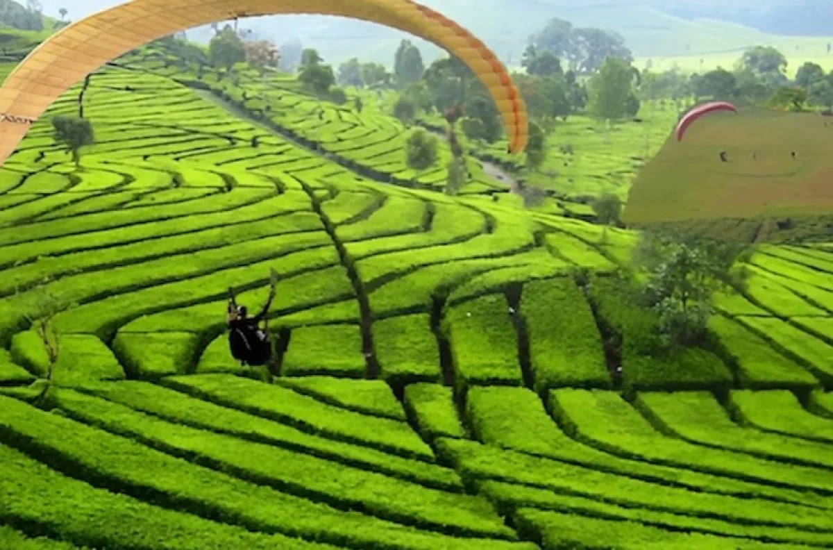 10 Tempat Wisata Alam di Subang yang Menakjubkan!
