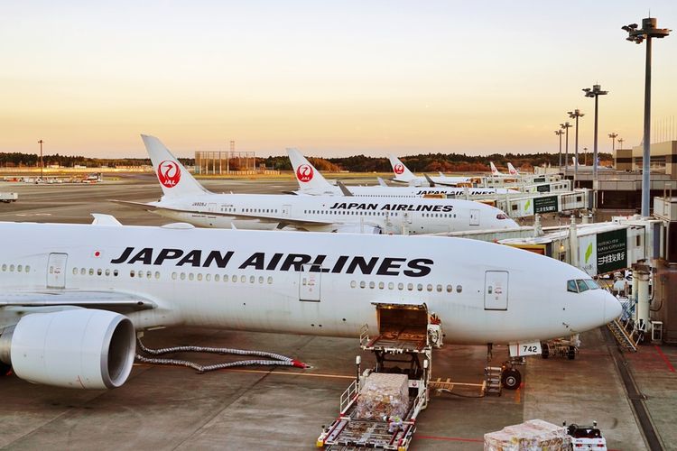 Pewat Japan Airlines Terbakar di Bandara Haneda Diduga Takbarakan