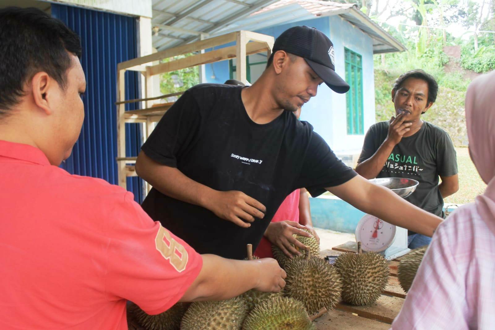 Mencicipi Lezatnya Durian Masmuar di Bunihayu Subang, Manis Legit dan Lumer di Mulut
