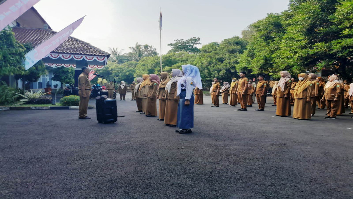 BKPSDM: Penerimaan CPNS Terbagi 3 Tahap Seleksi, Peserta Diingatkan Lebih Teliti Isi Berkas Pendaftaran