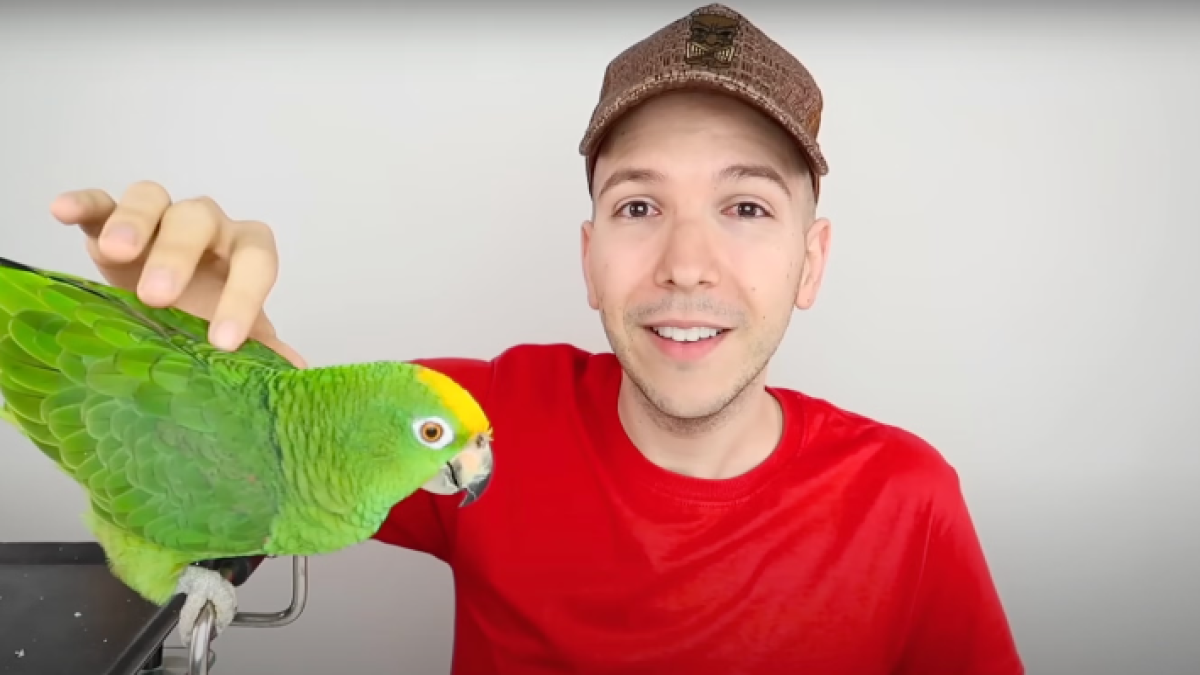 Profil Youtuber Nikocado Avocado yang Viral karena Berhasil Turun 113 Kg