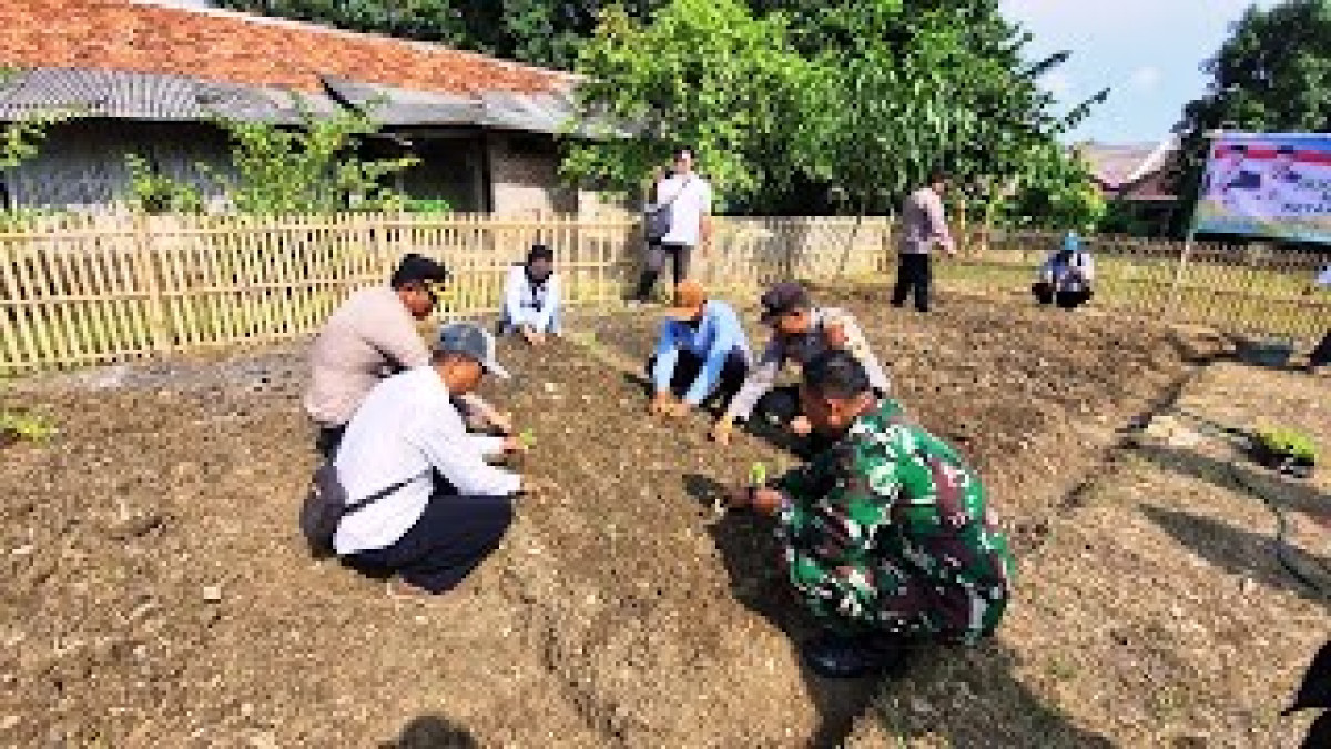 Polsek Pusakanagara Tanam Hortikultura