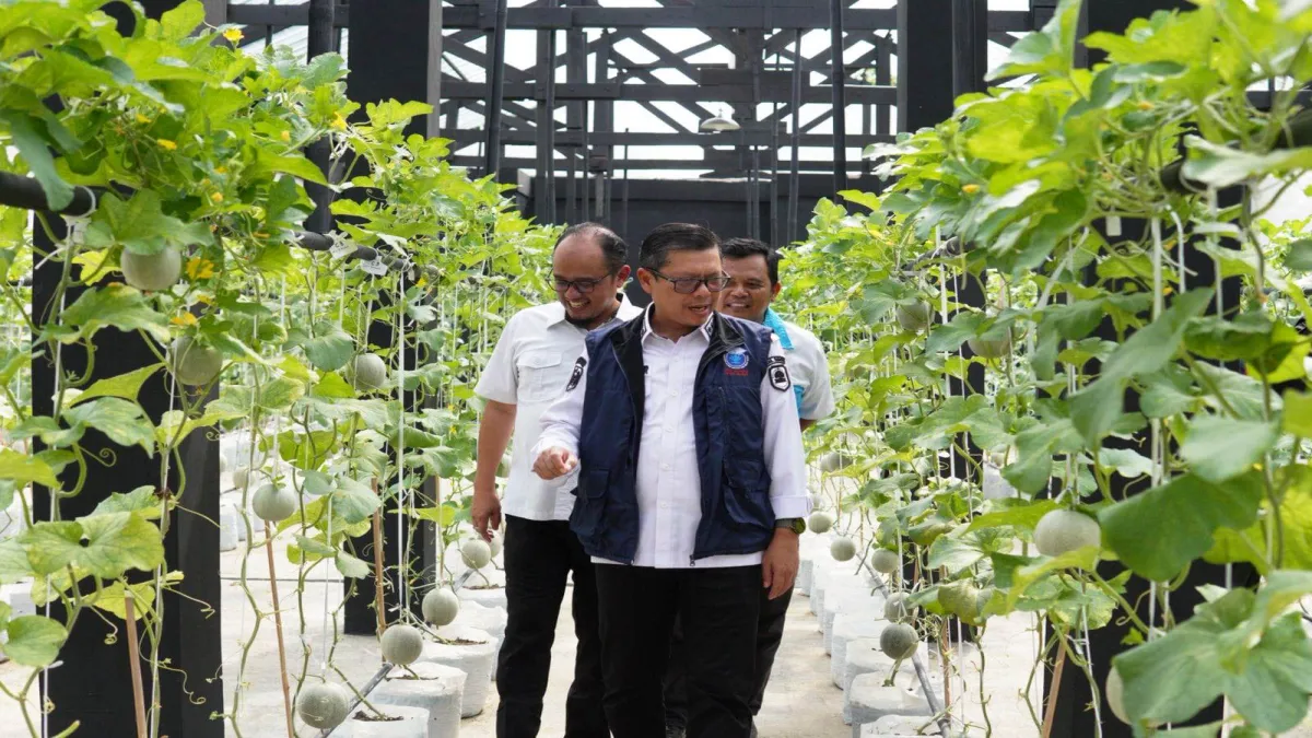 Wakil Bupati Subang Dukung Strategi Kemandirian Pangan di BPRI Sukamandi