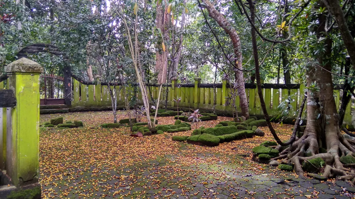 Makam Keramat Cijenuk: Jejak Spiritualitas Syekh Maulana Muhammad Syafei, Sang Pangeran Raja Atas Angin