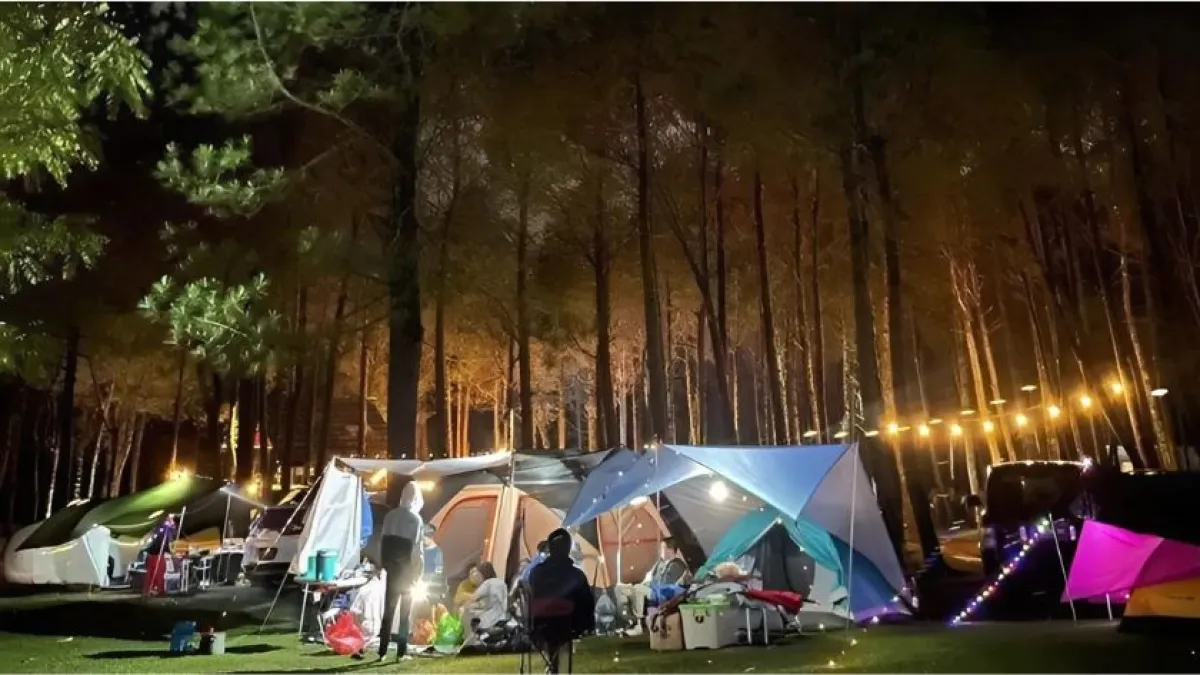 Rekomendasi Tempat Camping di Lembang Dekat Sungai: Petualangan Alam yang Menyegarkan