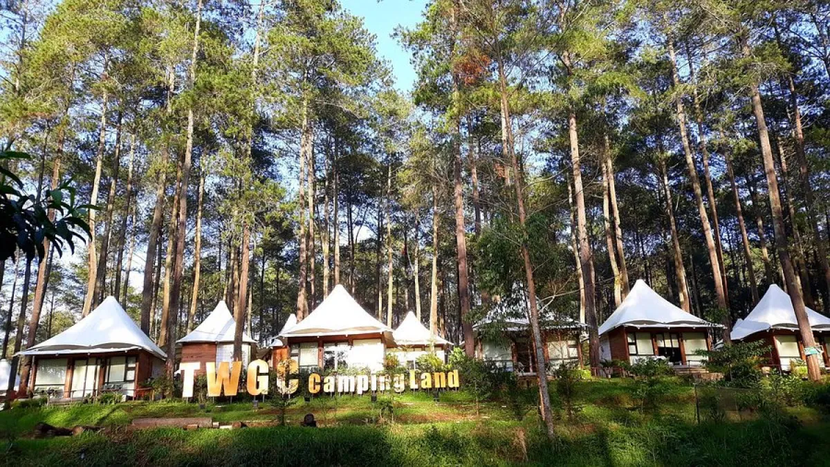 Rekomendasi Tempat Merayakan Tahun Baru di Lembang 2025 yang Wajib Dikunjungi