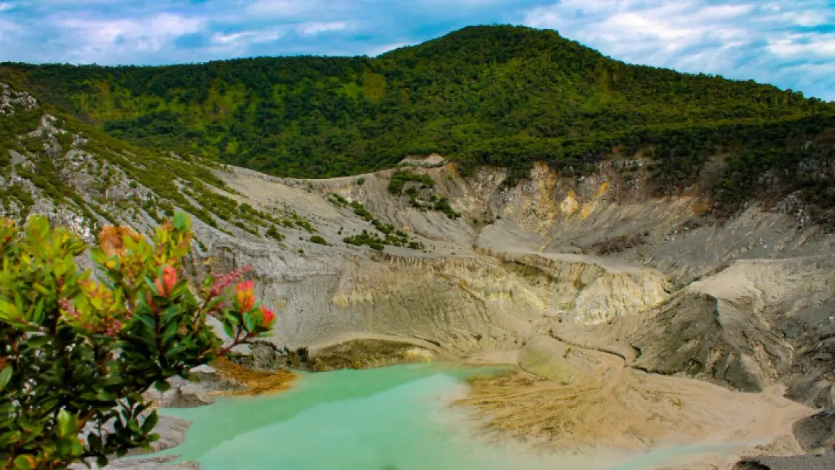 4 Tempat Penginapan Dekat Tangkuban Perahu yang Nyaman, Dijamin Bikin Betah!