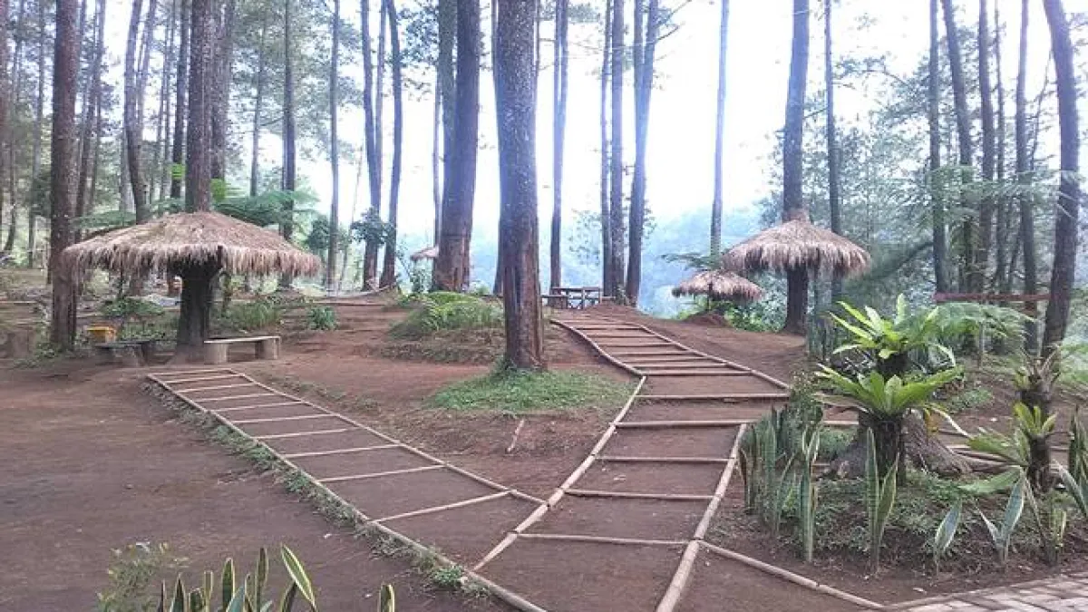 7 Rekomendasi Tempat Liburan Tahun Baru di Cikole: Destinasi Alam Sejuk untuk Rayakan Pergantian Tahun