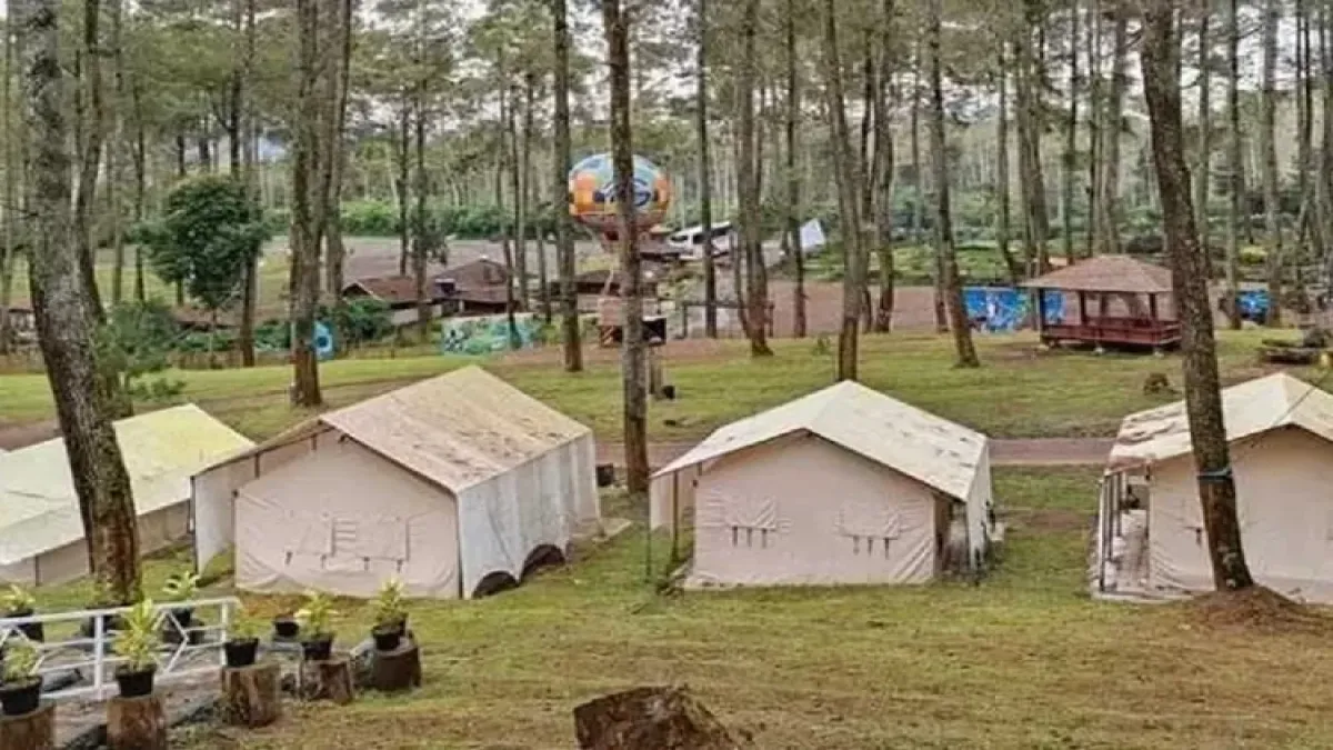 7 Rekomendasi Tempat Camping di Cikole untuk Tahun Baru: Suasana Hutan Pinus, Udara Dingin, dan Gathering Seru