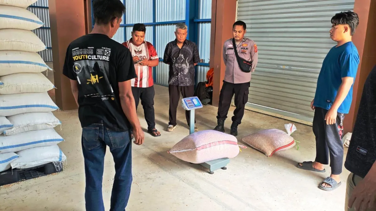 Hasil Panen Jagung Polsek Plered di Purwakarta Lolos Standar Mutu Bulog