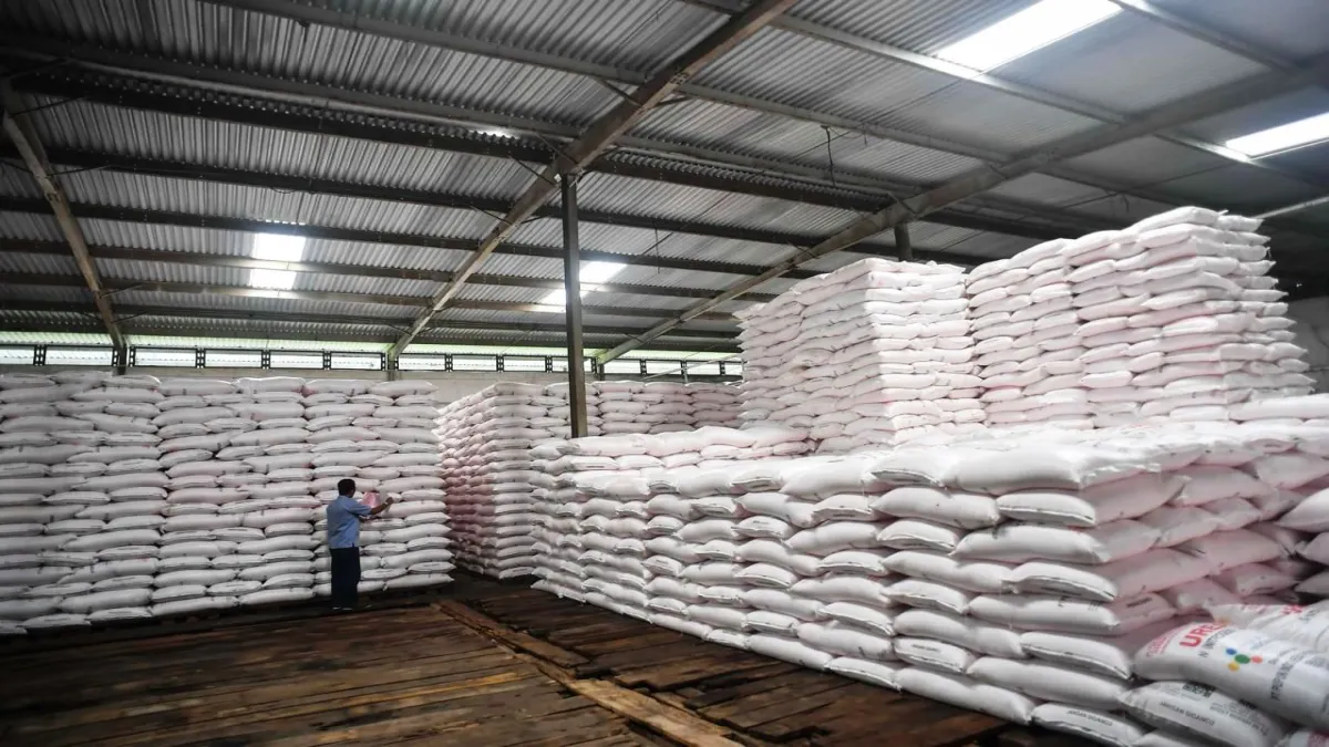 Jelang Musim Kemarau, Stok Pupuk di Subang Melimpah