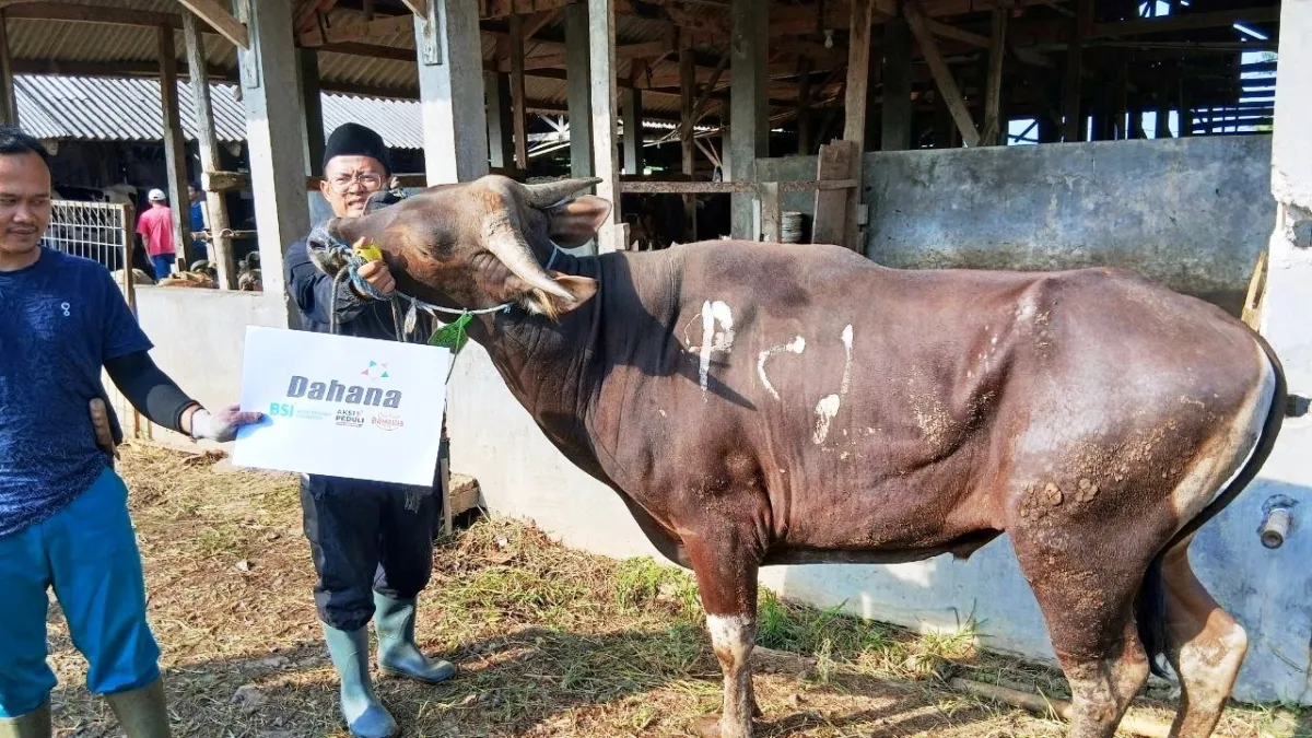 BSI dan Assyifa Perkuat Syiar dan Ekonomi Umat, Peduli Kolaborasi Program Kurban 2026