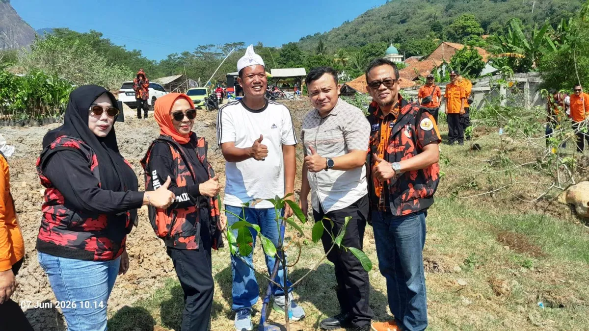 Aksi Nyata, Pemuda Pancasila Tanam 1000 Bibit Pohon