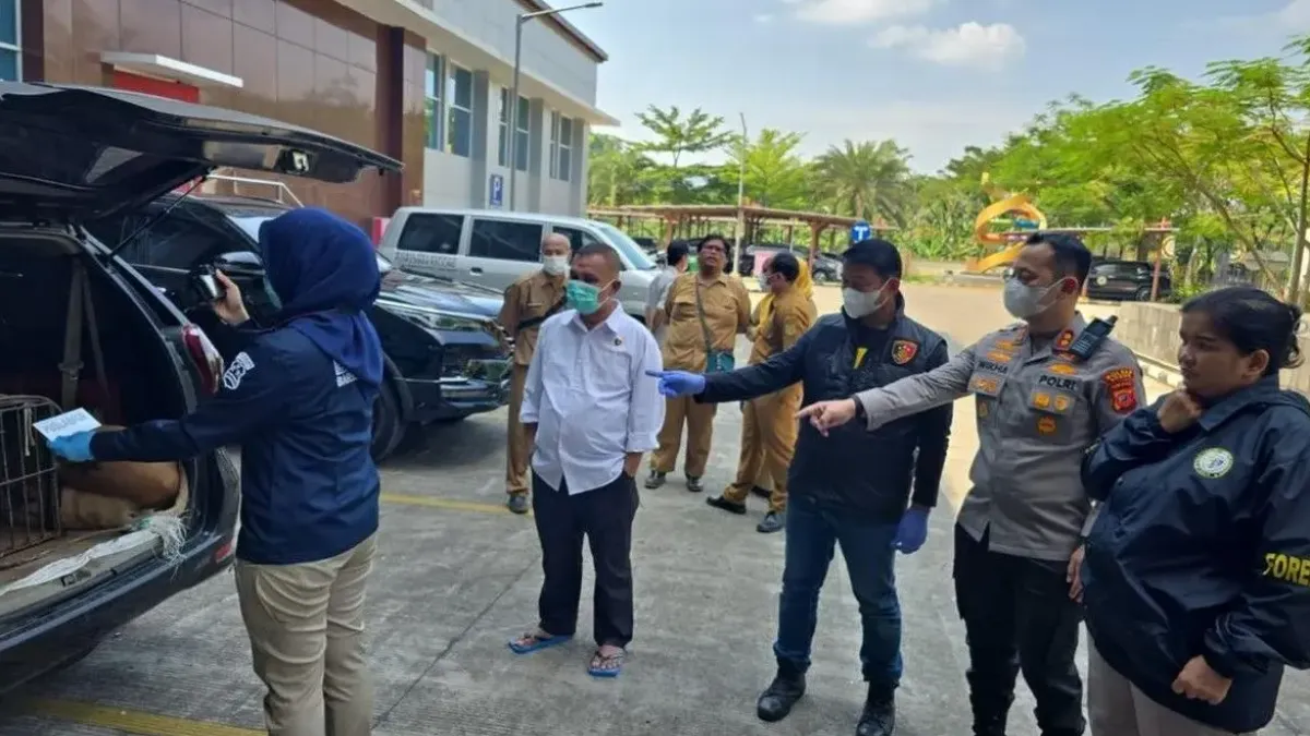 Bocah Meninggal Usai Diserang Anjing Pemburu Babi Hutan, Pemilik Jadi Tersangka