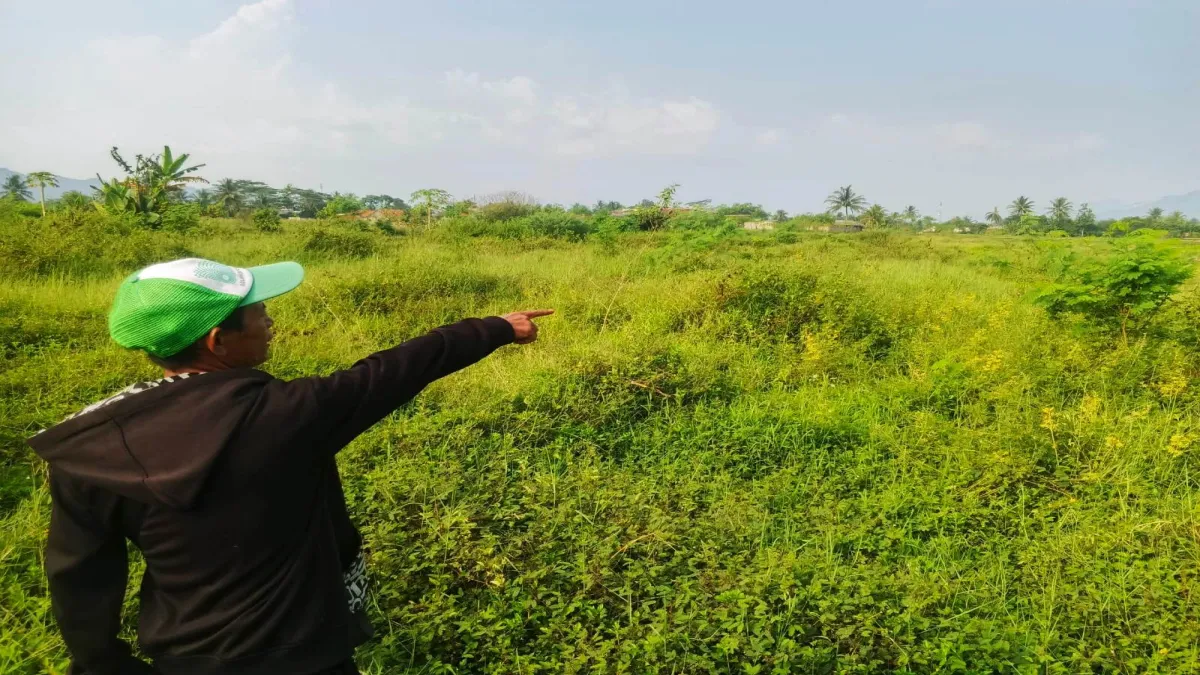 Krisis Air, Puluhan Hektare Sawah di Kecamatan Cipatat Bandung Barat Jadi Semak Belukar