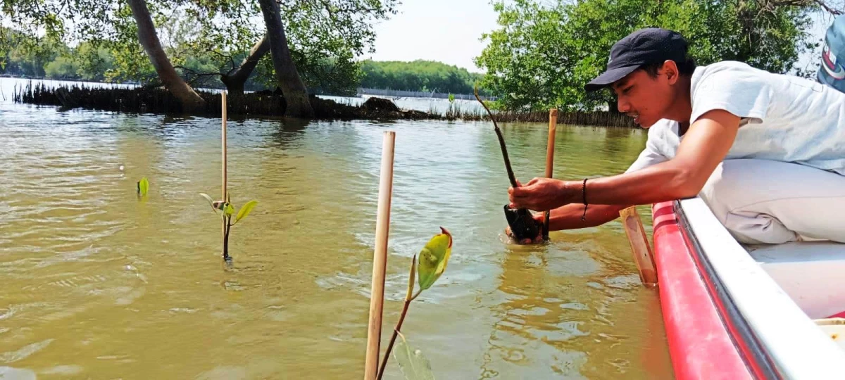 Desa Mayangan Perlu Ditanami 300.000 Mangrove, JNE Ambil Bagian Lestarikan Lingkungan Pesisir