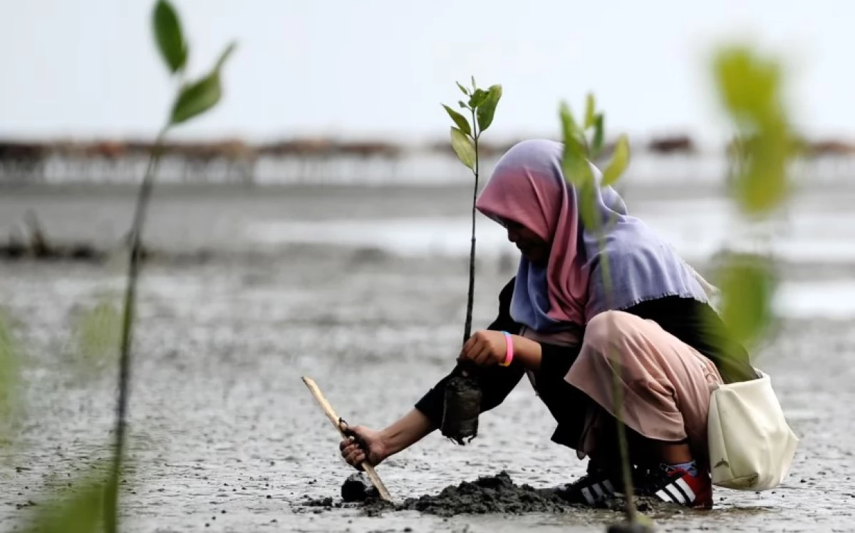 5 Perayaan Hari Bumi di Seluruh Dunia, Dari Menanam Pohon Hingga Bersihkan Pantai