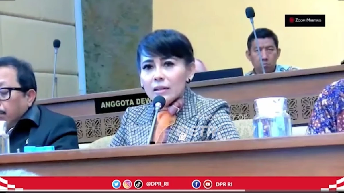Penggunaan Private Jet oleh KPU, Kerugian Negara di Pake Buat Dugem dan Wanita?