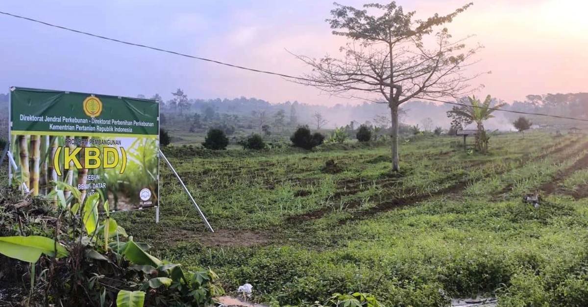 Warga Pertanyakan Manfaat Ekonomi, Tebu Dinilai Kurang Cocok di Subang Selatan