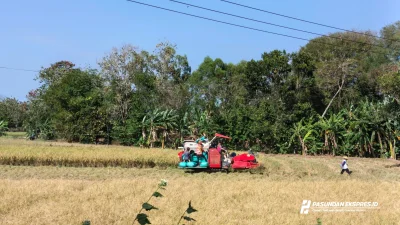 Panen Padi Dimulai, Petani Optimistis Hasil Panen Meningkat Meski Musim Kemarau