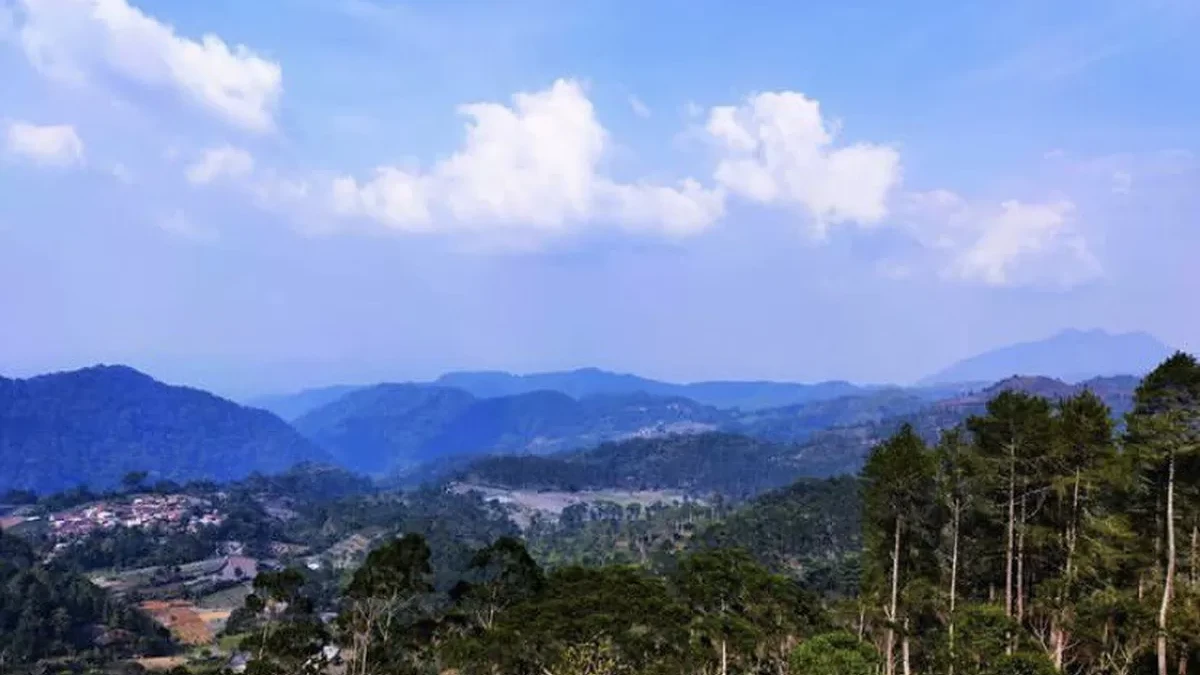 5 Fakta Unik Cupunagara Subang, Desa Tertinggi dengan Kopi Premium dan Panorama Alam Memukau