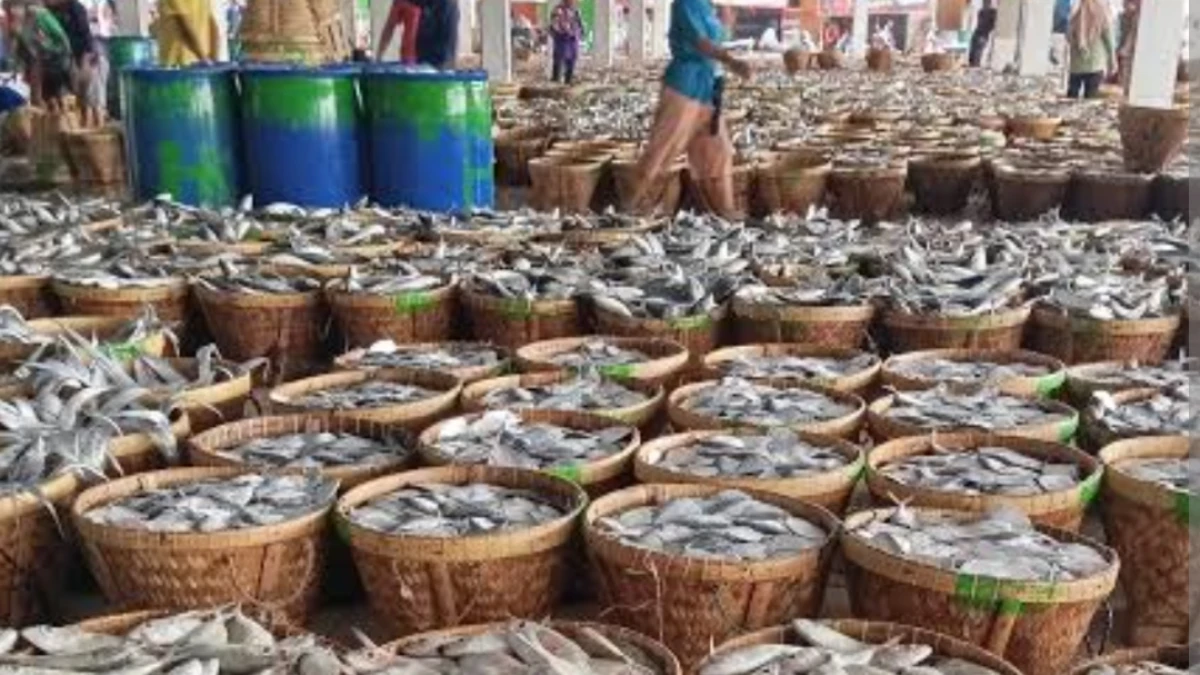 Pelelangan Ikan di Blanakan Subang 2026, Ini Daftar Harga Ikan dan Lokasinya