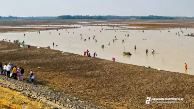 Puluhan Warga Jala Ikan di Waduk Cipancuh yang Surut Akibat Kemarau Panjang