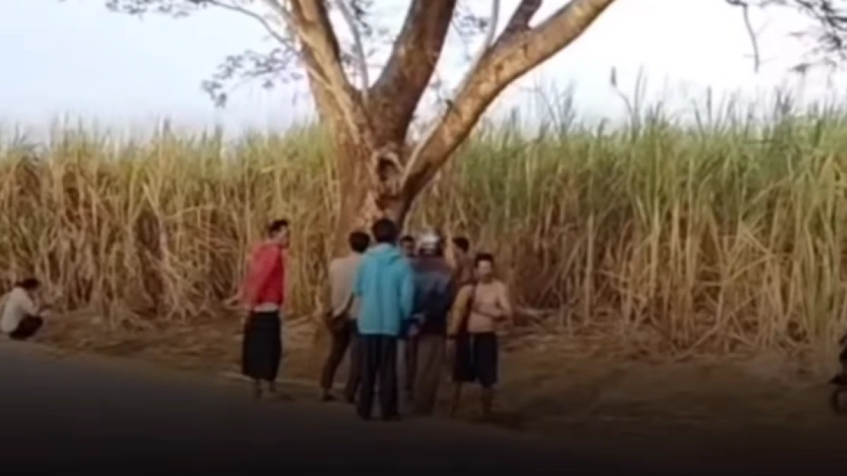 Korban Begal di Jalur Tebu Purwadadi Subang Meninggal Dunia, Polisi Lakukan Olah TKP dan Kejar Pelaku