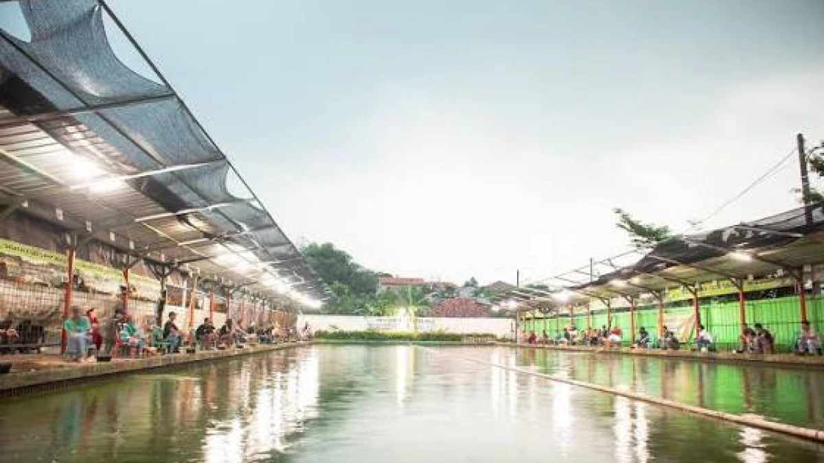 Hobi Mancing Lele di Subang? Ini 4 Pemancingan Ikan Lele Subang yang Bisa Jadi Pilihan, Ada yang Buka 24 Jam!