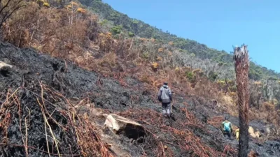 Marak Kasus Kebakaran, Dedi Mulyadi Larang Aktivitas Pendakian Gunung di Jawa Barat