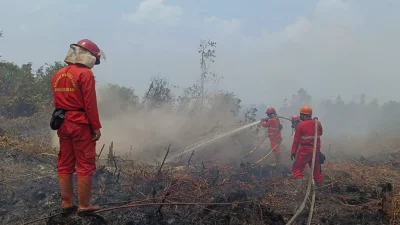 Bareskrim Polri Tetapkan 9 Korporasi Tersangka Karhutla