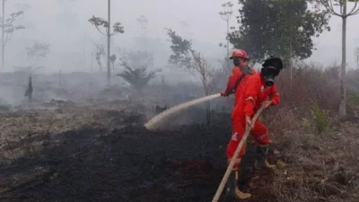 Penanganan Karhutla di Kalimantan Tengah Terus Digencarkan, Raja Juli Tegaskan Pemerintah Tak Lepas Tangan