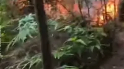 Terjadi Kebakaran di Gunung Tangkuban Perahu? Simak Berita Updatenya Disini!