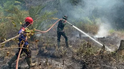 BNPB Buka Peluang Terima Bantuan Negara Lain untuk Tangani Karhutla