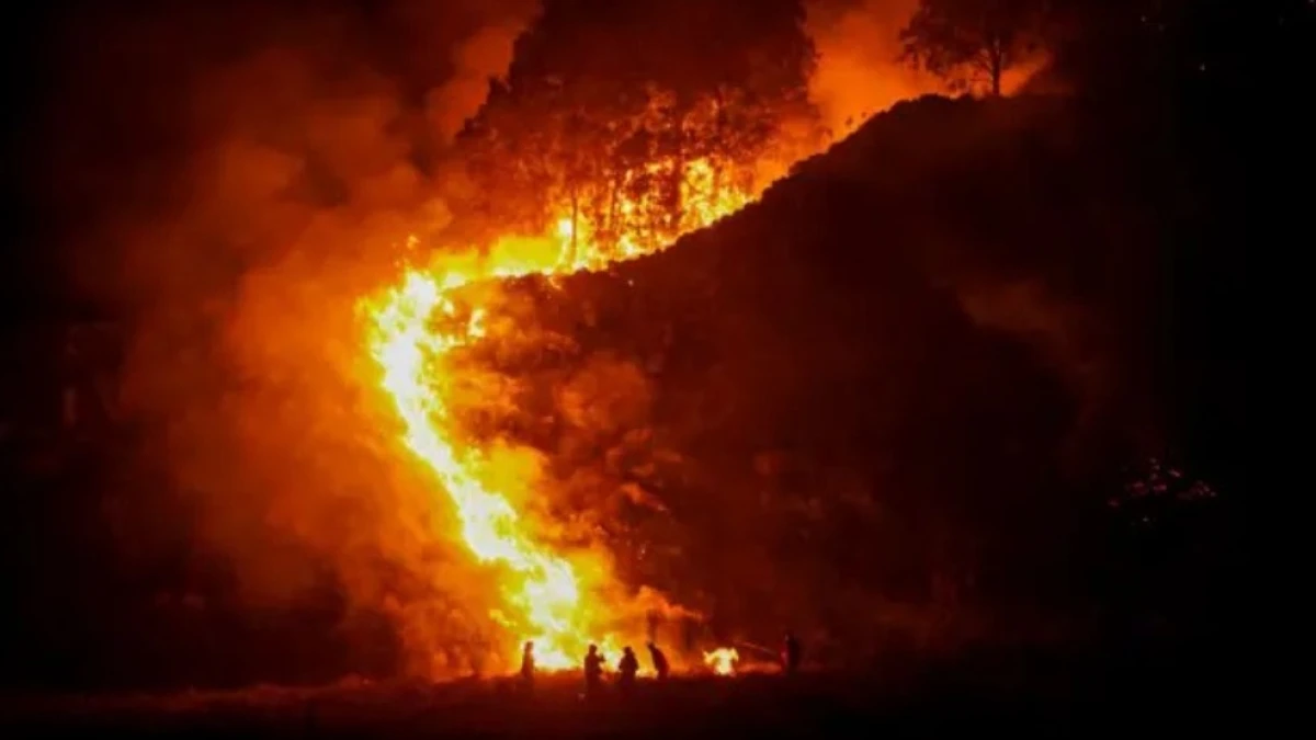 Korporasi Tersangka Karhutla di Indonesia Berjumlah 11, Tiga Berstatus PMA