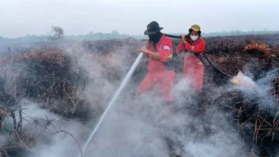 Dana Karhutla Sumatera Selatan Tembus Rp200 Miliar, Bagaimana Transparansi dan Perlindungan Warga?