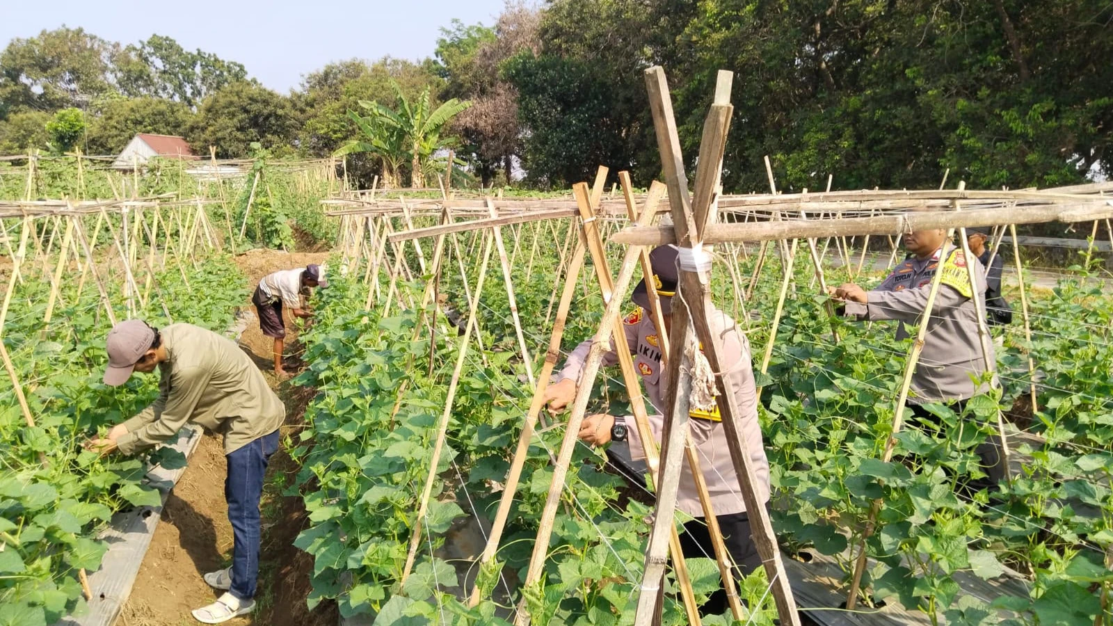 Green Policing di Cidadap, Kapolsek Pagaden Ajak Masyarakat Peduli Lingkungan