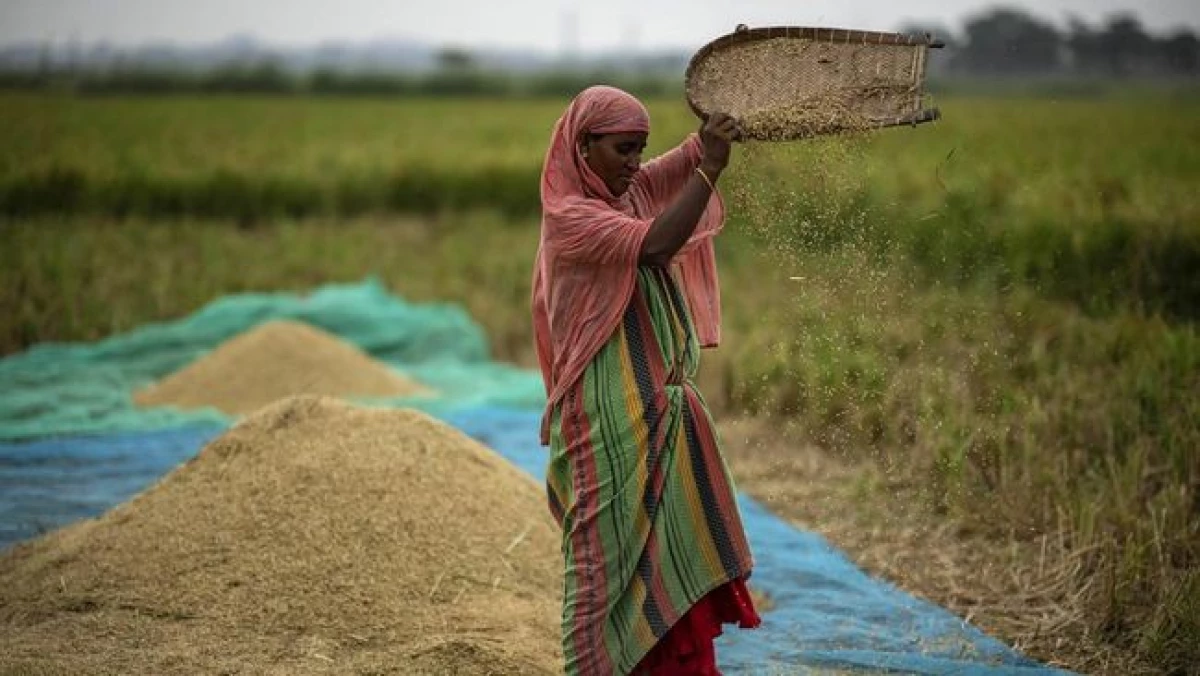 Benarkah Harga Beras Mahal, Karena Pemilu di India?