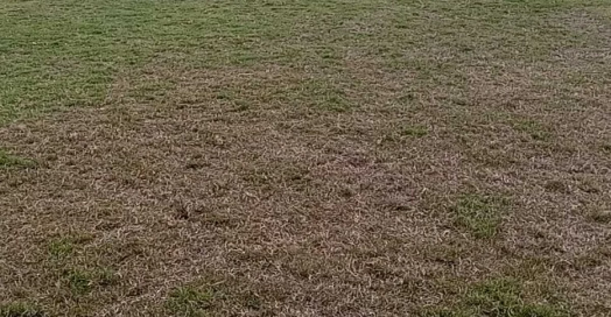 Kondisi Rumput Lapangan Stadion Dalem Bintang Memperihatinkan, Ketum Persigar Angkat Bicara
