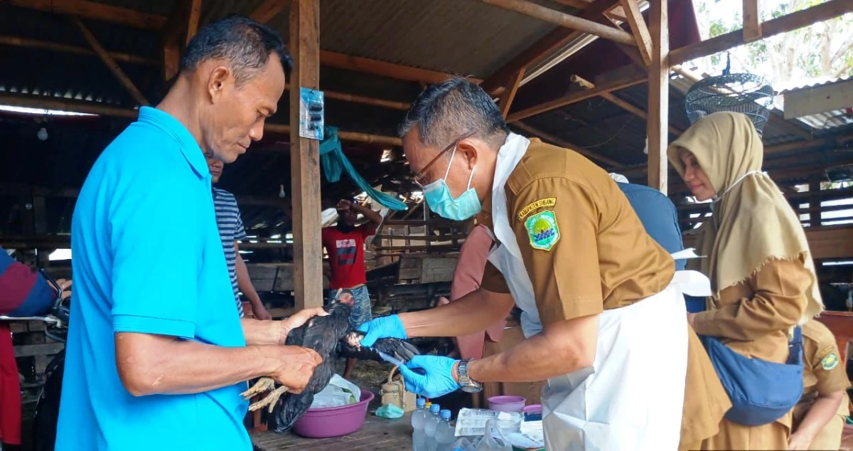 Cuaca Ekstrem, Dinas Kesehatan Hewan Kabupaten Subang Imbau Peternak Jaga Kesehatan Ternak