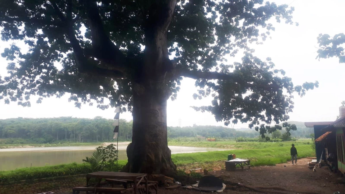 Situ Cigangsa Purwakarta jadi Lokasi Favorit Ngabuburit