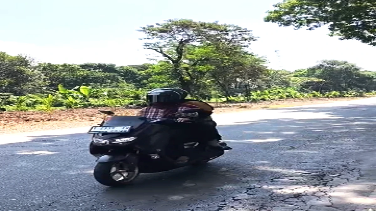 Jalan Ciater Ditanami Ribuan Pohon Kelapa, Warga Apresiasi Penghijauan di Lahan Eks Pedagang