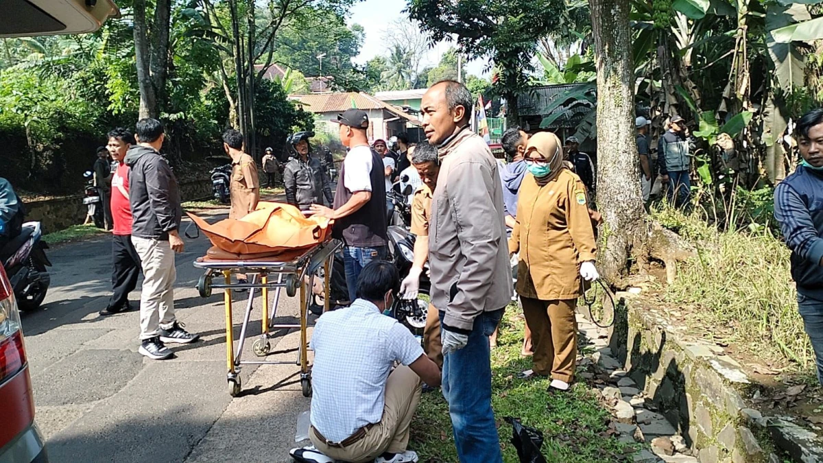Pekerja Sawit di Subang Tewas, Diduga Tersengat Listrik Tegangan Tinggi