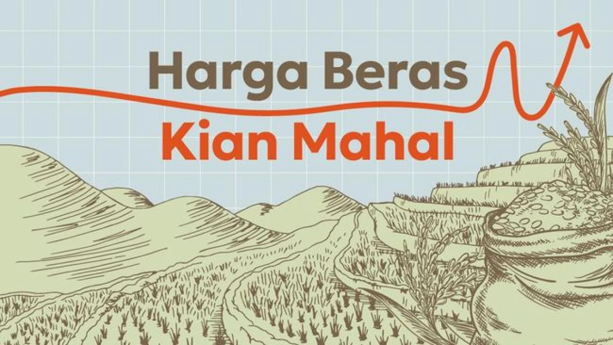 Kenapa Harga Beras Naik Jadi Mahal, Kok Bisa?