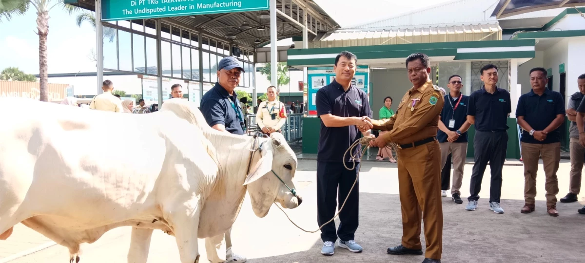 Apresiasi kepada Karyawan Berprestasi, PT TKG Taekwang Indonesia Salurkan 17 Hewan Kurban