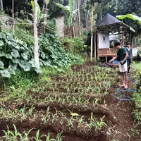 Harapan Petani Milenial Bandung Barat di Hari Tani Nasional, Keberpihakan Pemerintah