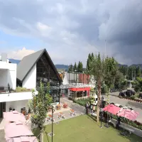 12 Pusat Oleh-Oleh di Lembang Terbaik 2025: Buah Tangan Khas Pegunungan yang Wajib Dibawa Pulang!