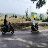 Warga Subang Soroti Program Pembibitan Tebu Nasional Kementan