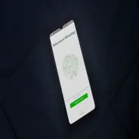 Cara Menonaktifkan WhatsApp Sementara Tanpa Hapus Aplikasi